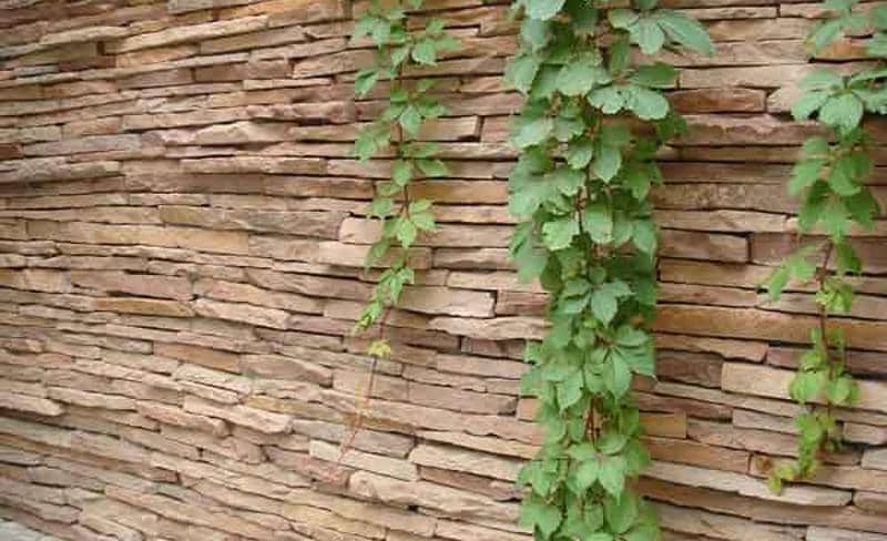 5001428 Flagstones karistos brown 1